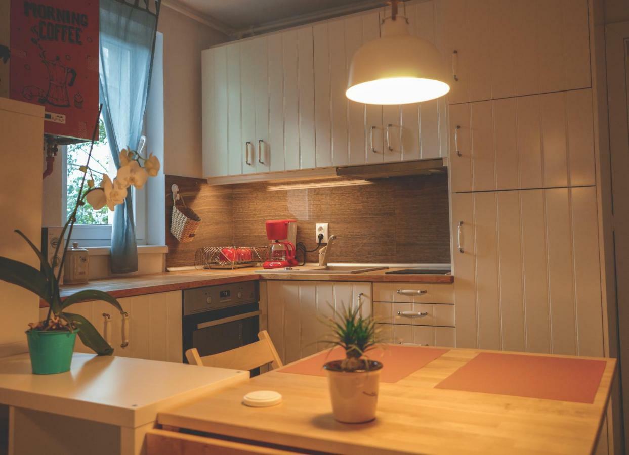 Comfy Apartment Σιγκισοάρα Εξωτερικό φωτογραφία