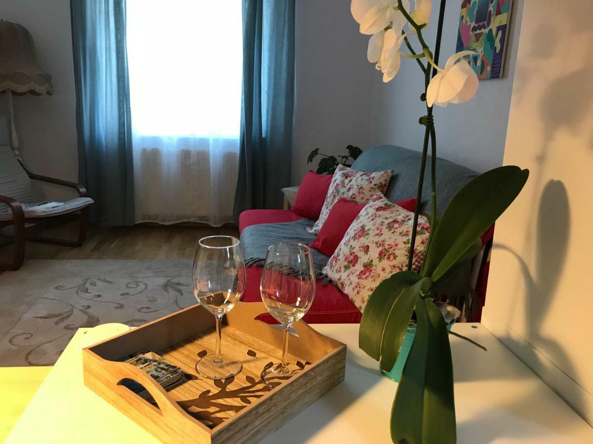 Comfy Apartment Σιγκισοάρα Εξωτερικό φωτογραφία
